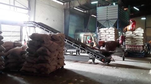 convoyage-cacao-vrac-agro-industrie