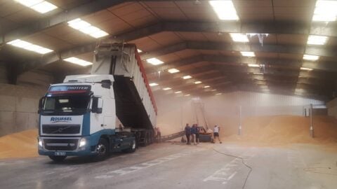 déchargement-camion-grains-vrac-stockage-céréales