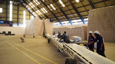 stockage-et-entreprosage-sacs