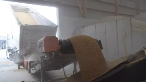 tremie-mobile-de-dechargement-cereales