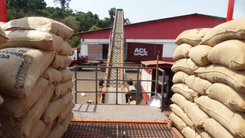 plateforme-découpe-des-sacs-sautec