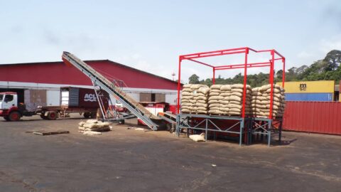 station-empotage-fèves-cacao-vrac