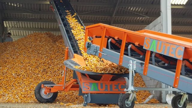 SAUTEC : une solution de manutention douce pour le stockage du maïs en épi.