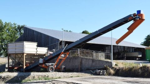 sauterelle-agricole-18m