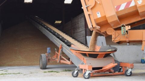 sauterelle-agricole-pour-stockage-cereale-a-plat