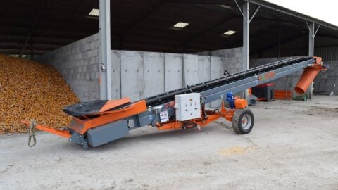 sauterelle-agricole-stockage-cereales-et-maïs