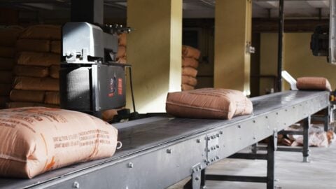 convoyeur pour sacs